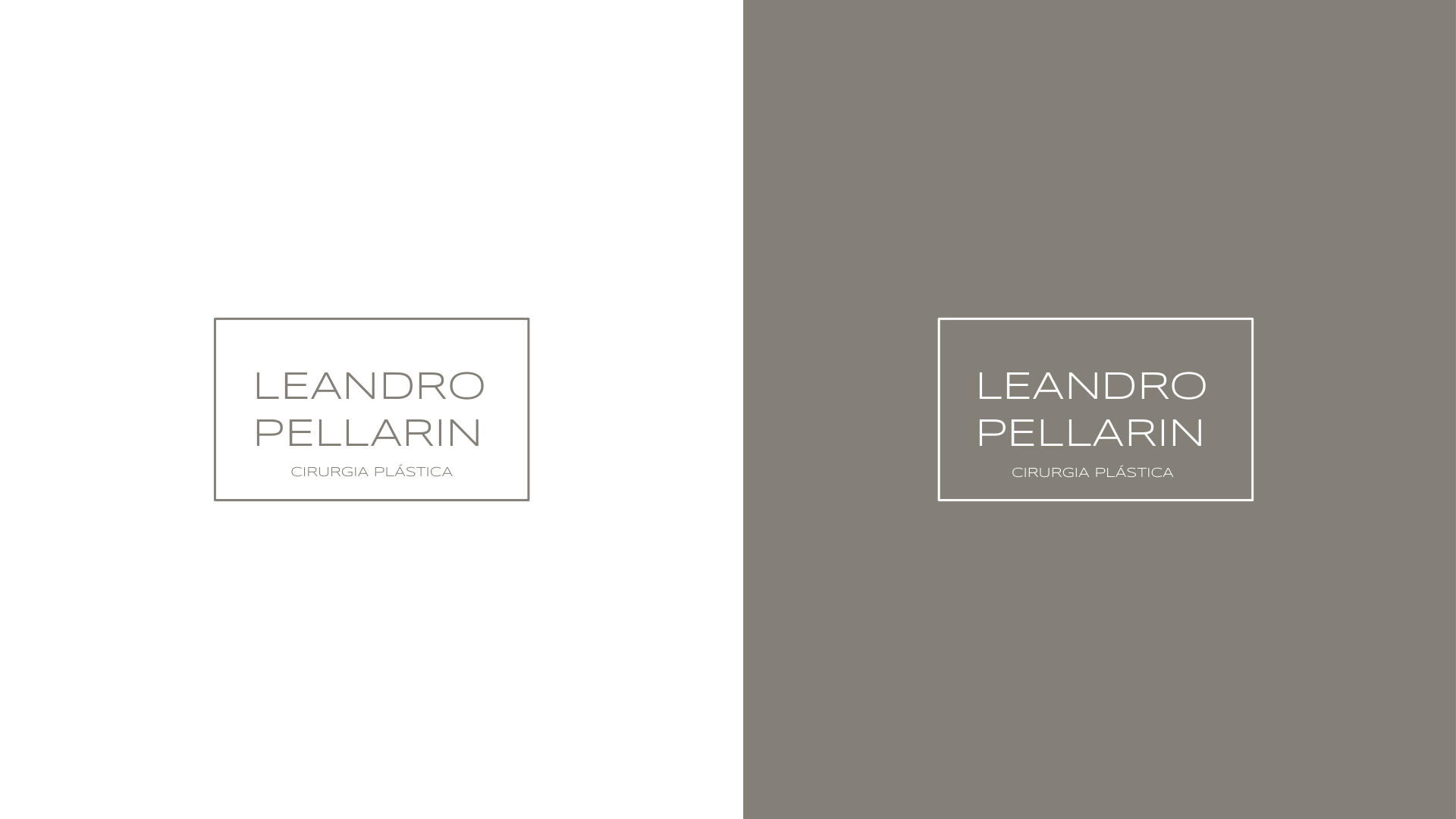 Dr. Leandro Pellarin — 21