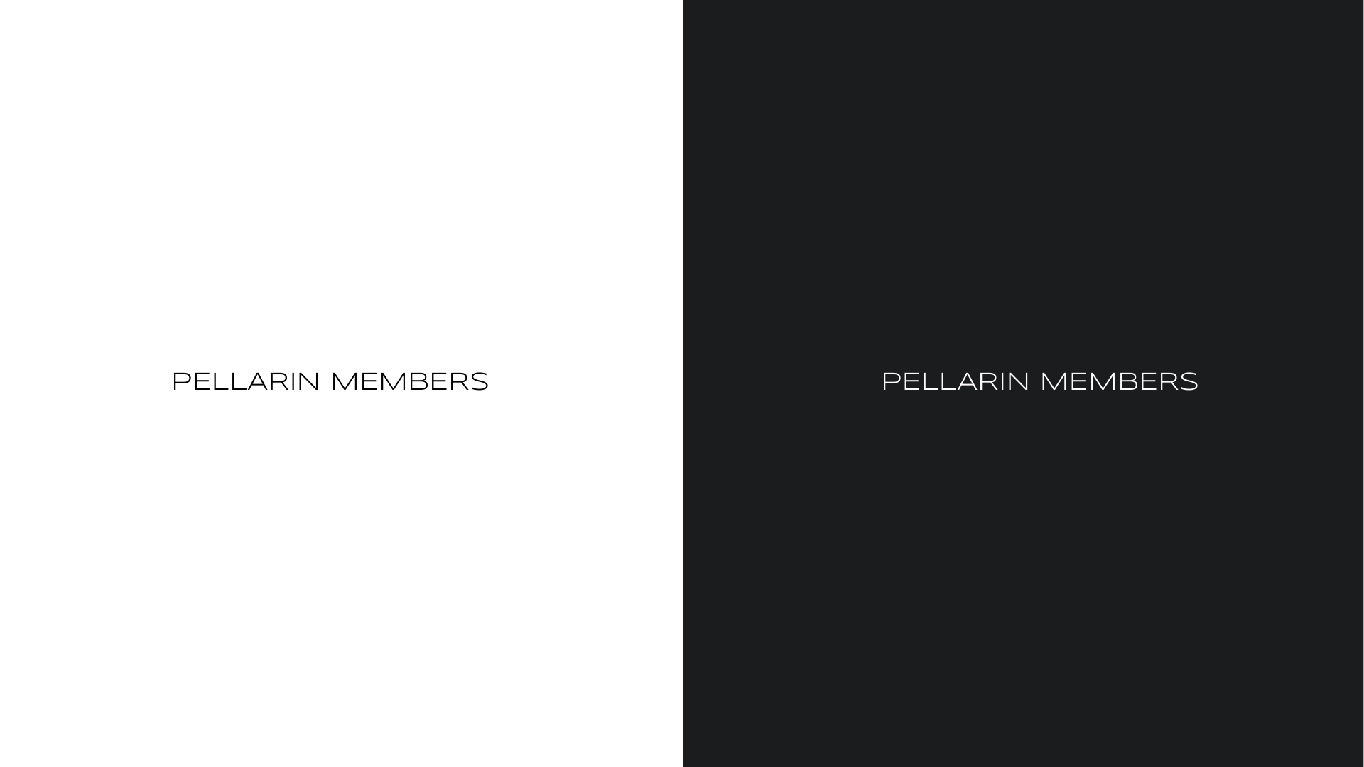 Dr. Leandro Pellarin — 49
